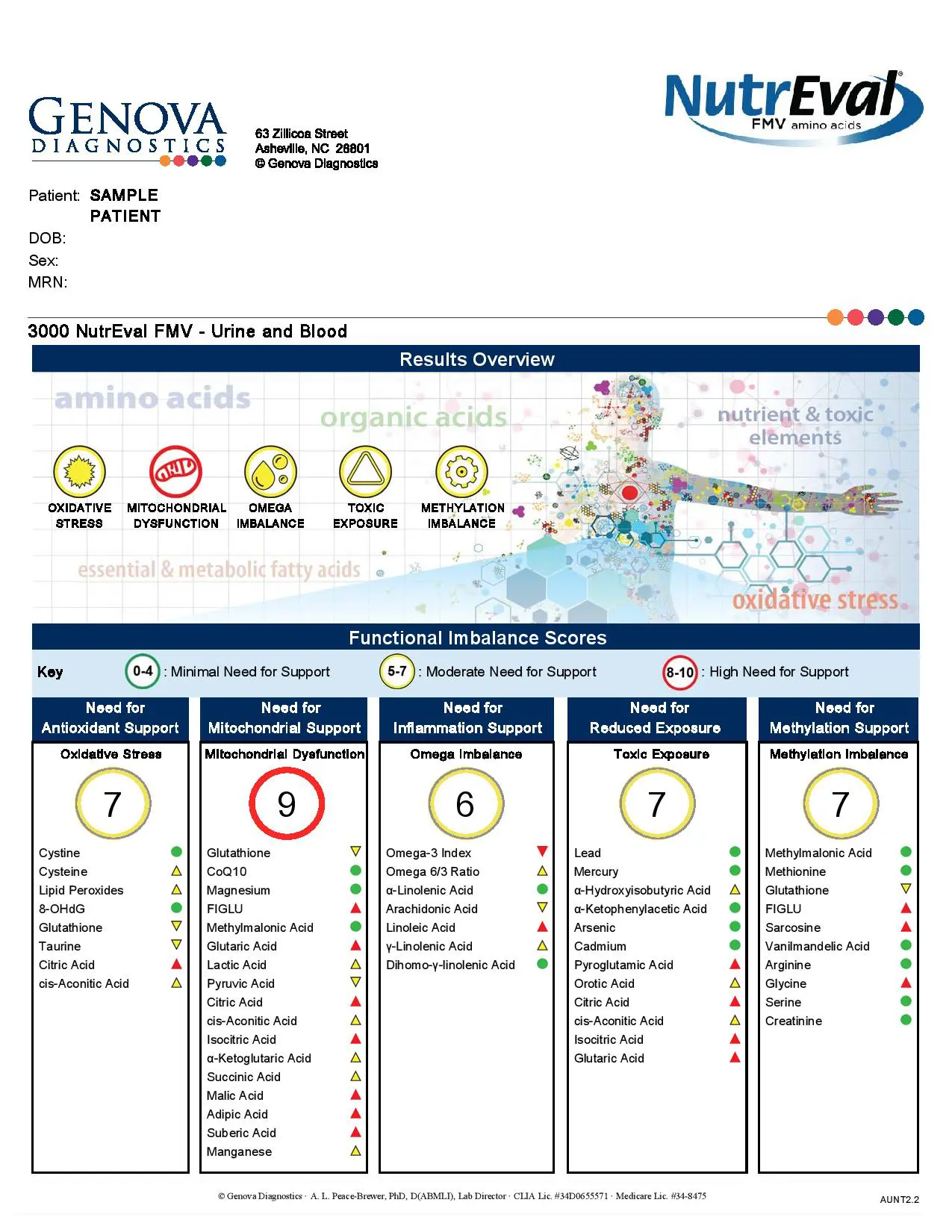 genova diagnostics nutreval glutathione FMV Interpretive guide